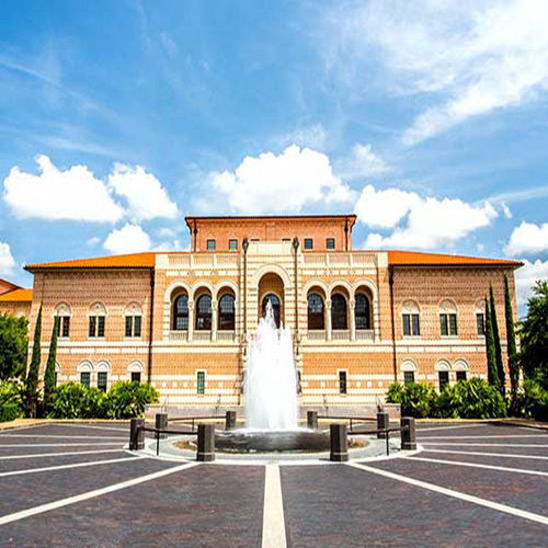 莱斯大学