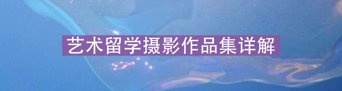 摄影｜艺术留学摄影作品集详解！